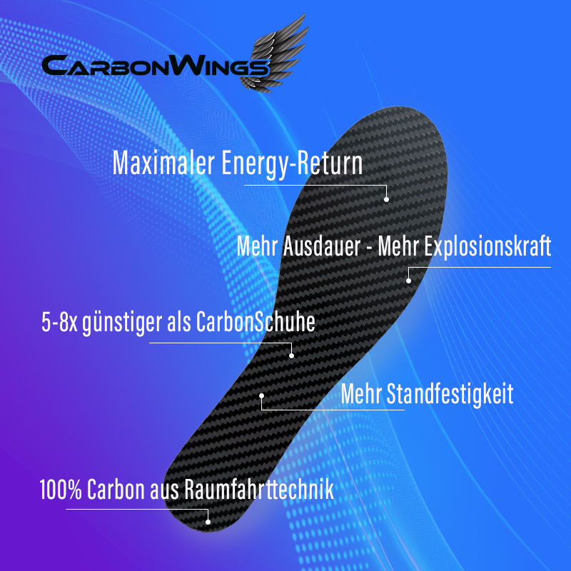 CarbonWings