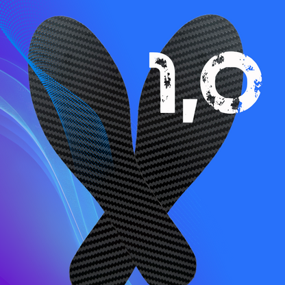 CarbonWings