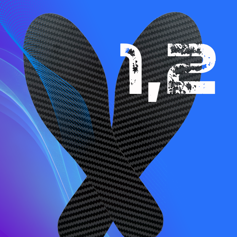 CarbonWings