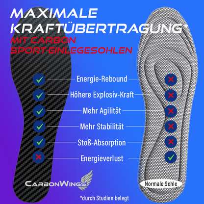 CarbonWings