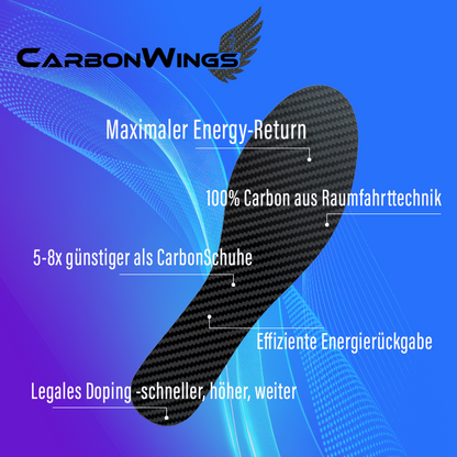 CarbonWings