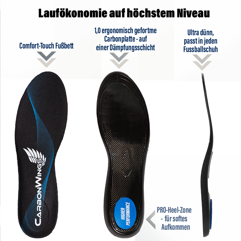 CarbonWings Pro