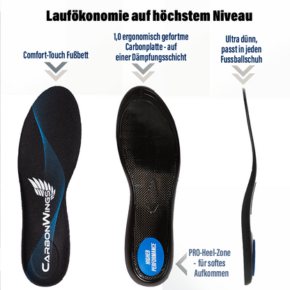CarbonWings Pro