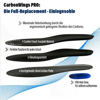 CarbonWings Pro