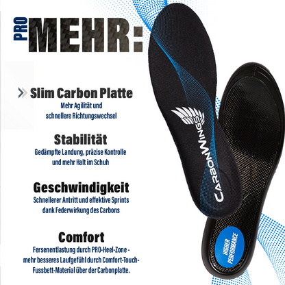 CarbonWings Pro