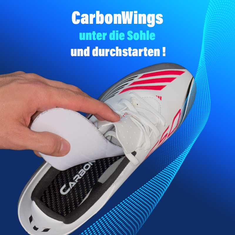 CarbonWings