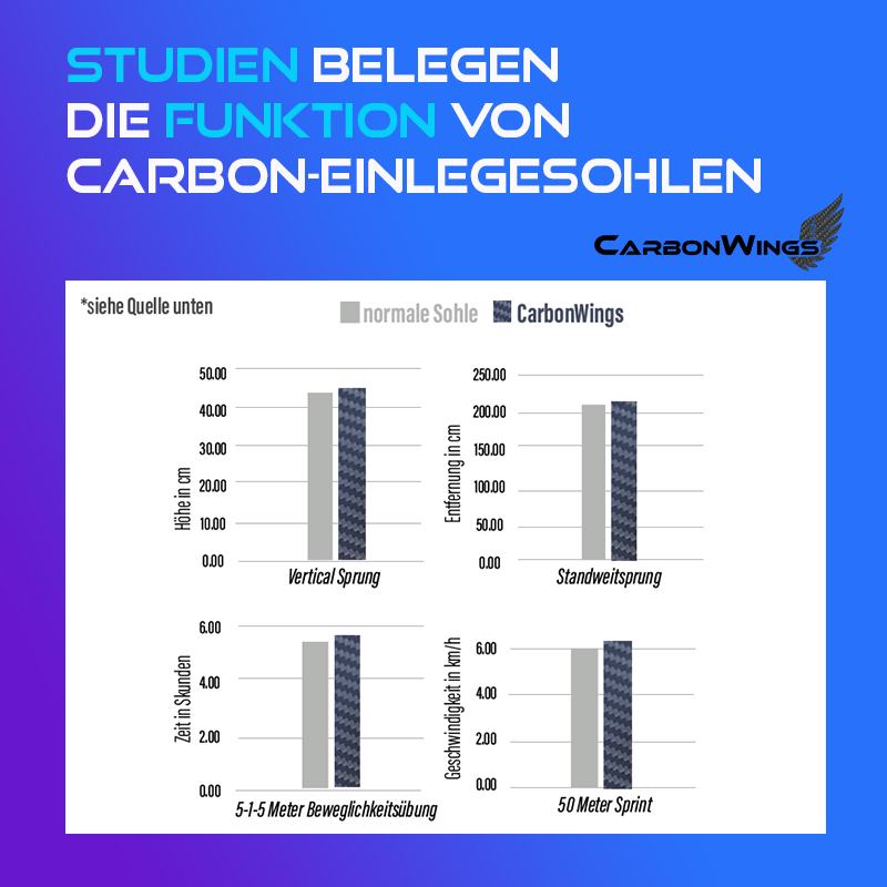 CarbonWings