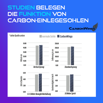CarbonWings