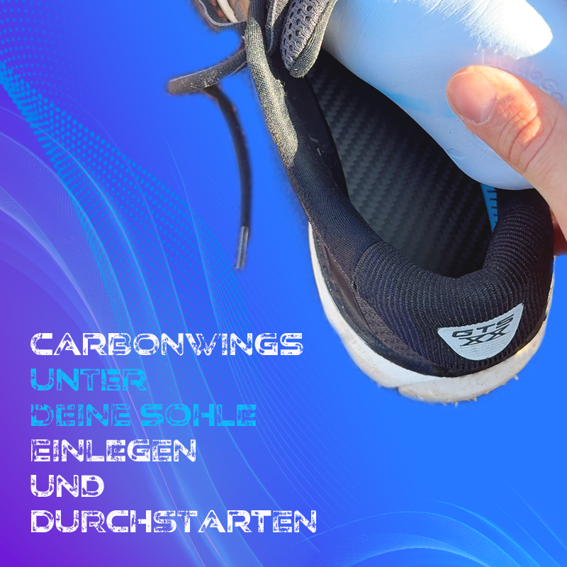 CarbonWings