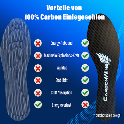CarbonWings